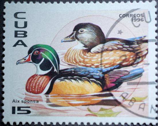 timbre de CUBA