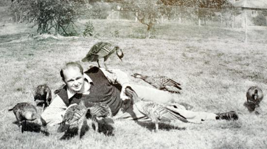 le sauveteur de l' espèce est l'anglais Peter Scott.  photo de1951