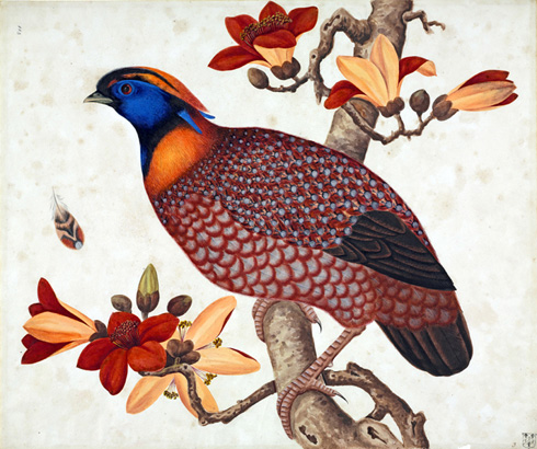 aquarelle début XIXème