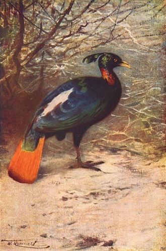 peinture ancienne 1907
