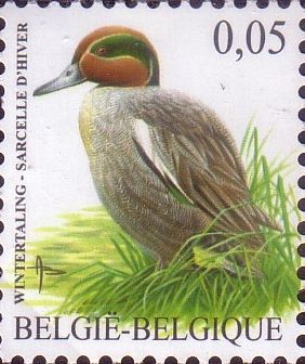 timbre Belgique