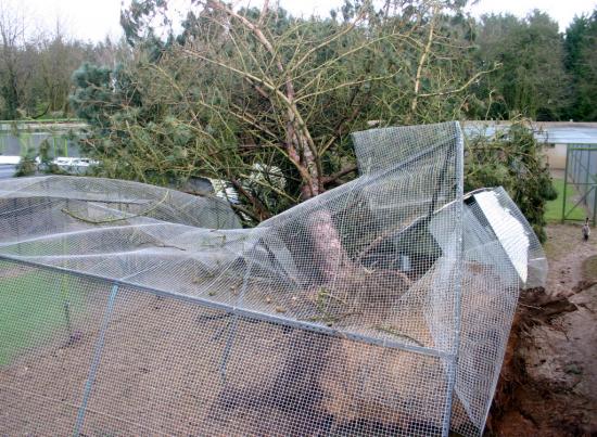 dégats de la tempête début 2010