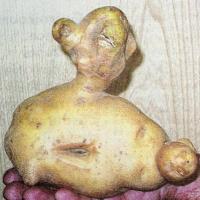 pomme de terre en forme de canard ? ou canard qui a la patate ?